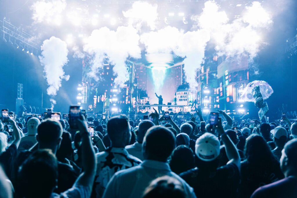 crowd of people at music festival