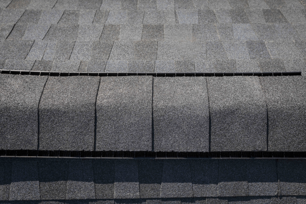 New Roof: Ridge Vent