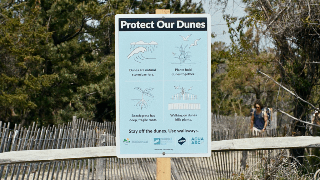 Surfrider Foundation